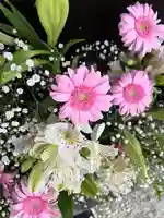 上尾御嶽神社(埼玉県)