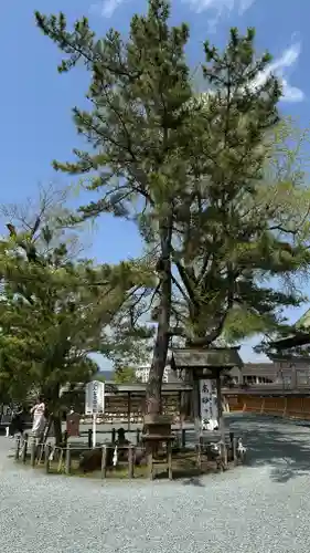 阿蘇神社(熊本県)