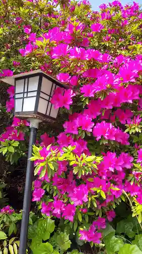 忌宮神社(山口県)