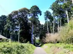 椎ケ脇神社の建物その他