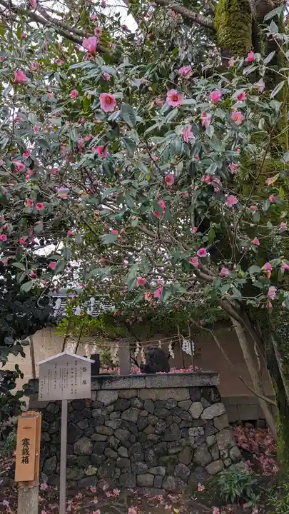 梅宮大社(京都府)