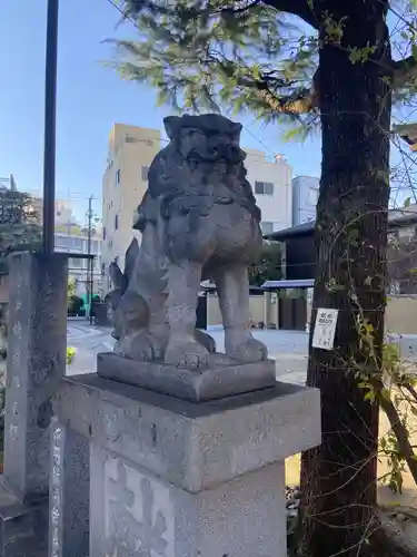 今戸神社の狛犬