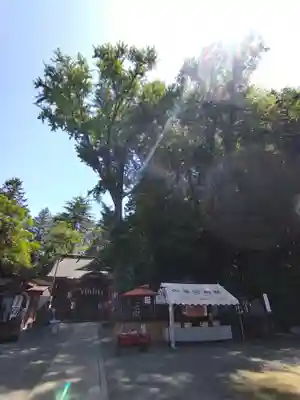 穴澤天神社(東京都)