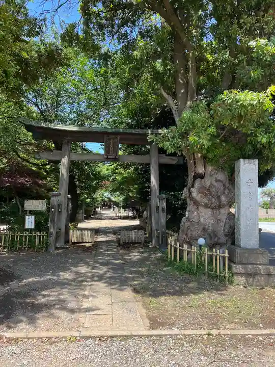 畑子安神社(千葉県)