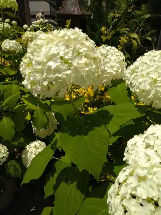 火防 陶器神社(坐摩神社末社)(大阪府)