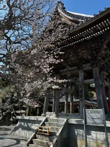 久遠寺の{uncategorized: "未分類", other: "その他", undefined: "問題あり", building: "その他建物", grave: "お墓", sacred_gate: "鳥居", guardian: "狛犬", statue: "像", buddha: "仏像", history: "歴史", nature: "自然", garden: "庭園", animal: "動物", pagoda: "塔", temizu: "手水舎", mountain_gate: "山門・神門", sanctuary: "本殿・本堂", subordinate: "末社・摂社", art: "芸術", scenery: "景色", jizo: "地蔵", ema: "絵馬", goshuin: "御朱印", omikuji: "おみくじ", items: "授与品その他", amulet: "お守り", goshuincho: "御朱印帳", eats: "食事", festival: "お祭り", votive_dance: "神楽", shichigosan: "七五三参", wedding: "結婚式", experience: "体験その他", initially: "初詣", around: "周辺", anti_infection: "感染症対策"}