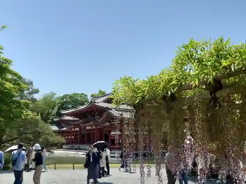 平等院(京都府)