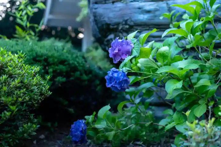 白山比咩神社(石川県)