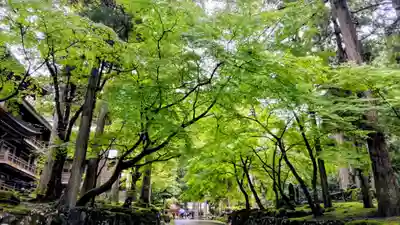 永平寺(福井県)