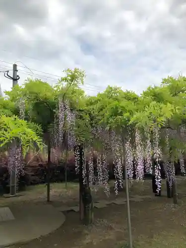 和気神社の自然