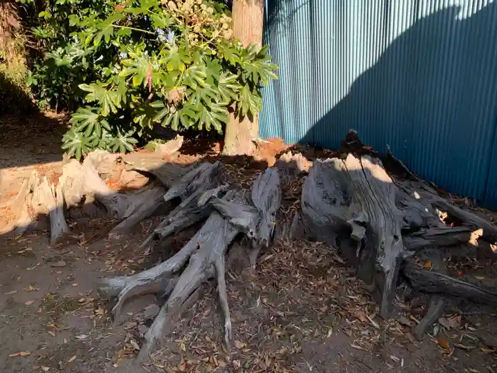 水神社(千葉県)