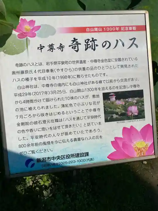 白山神社(新潟県)