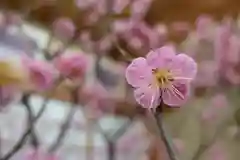 菅原天満宮（菅原神社）の芸術