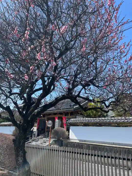 光榮寺の{uncategorized: "未分類", other: "その他", undefined: "問題あり", building: "その他建物", grave: "お墓", sacred_gate: "鳥居", guardian: "狛犬", statue: "像", buddha: "仏像", history: "歴史", nature: "自然", garden: "庭園", animal: "動物", pagoda: "塔", temizu: "手水舎", mountain_gate: "山門・神門", sanctuary: "本殿・本堂", subordinate: "末社・摂社", art: "芸術", scenery: "景色", jizo: "地蔵", ema: "絵馬", goshuin: "御朱印", omikuji: "おみくじ", items: "授与品その他", amulet: "お守り", goshuincho: "御朱印帳", eats: "食事", festival: "お祭り", votive_dance: "神楽", shichigosan: "七五三参", wedding: "結婚式", experience: "体験その他", initially: "初詣", around: "周辺", anti_infection: "感染症対策"}