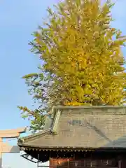 健田須賀神社の建物その他