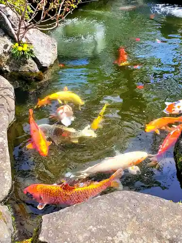 長寿院(福島県)