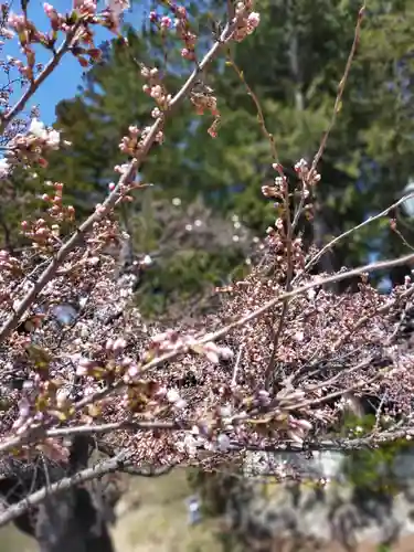 上杉神社の自然