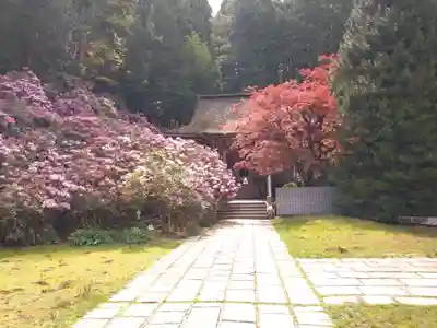 金剛三昧院(和歌山県)