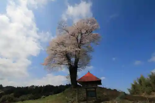 十一面観音堂の景色