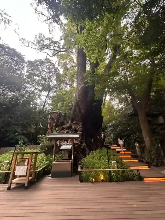 來宮神社(静岡県)