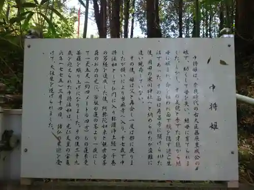 中将姫(神奈川県)
