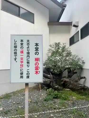 祇園山 徳城寺の歴史