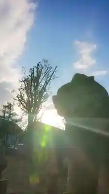 正明神社の狛犬