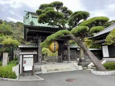 長谷寺の山門・神門