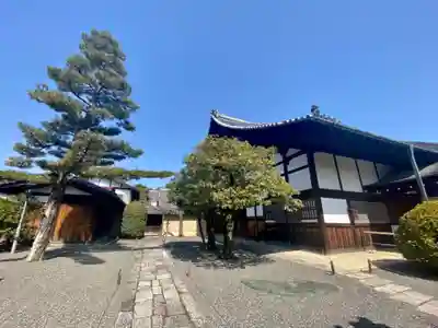 大徳寺のその他建物