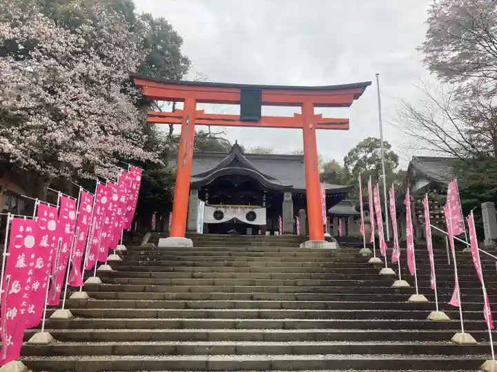 藤島神社(贈正一位新田義貞公之大宮)の鳥居