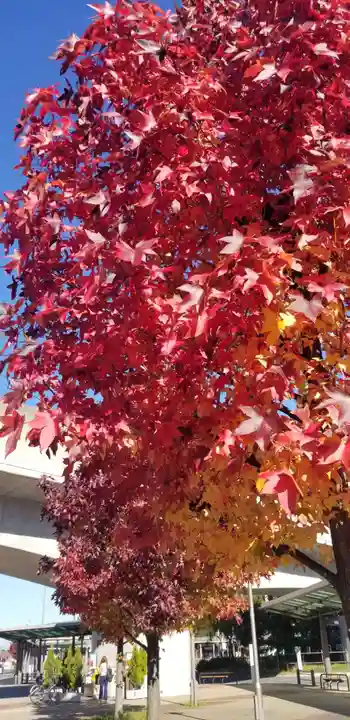 富足神社の自然