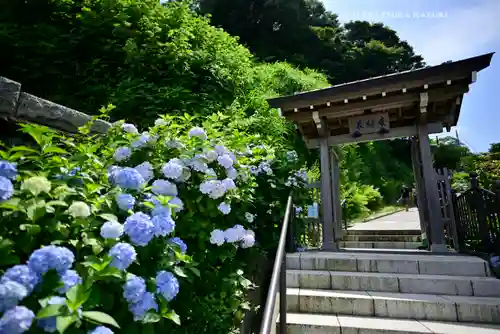 成就院の山門・神門