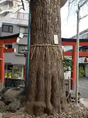 五柱五成神社の自然