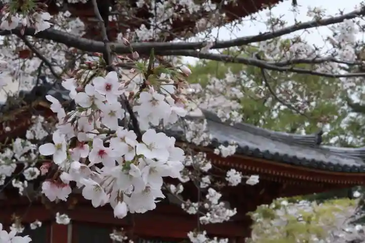 喜多院の{uncategorized: "未分類", other: "その他", undefined: "問題あり", building: "その他建物", grave: "お墓", sacred_gate: "鳥居", guardian: "狛犬", statue: "像", buddha: "仏像", history: "歴史", nature: "自然", garden: "庭園", animal: "動物", pagoda: "塔", temizu: "手水舎", mountain_gate: "山門・神門", sanctuary: "本殿・本堂", subordinate: "末社・摂社", art: "芸術", scenery: "景色", jizo: "地蔵", ema: "絵馬", goshuin: "御朱印", omikuji: "おみくじ", items: "授与品その他", amulet: "お守り", goshuincho: "御朱印帳", eats: "食事", festival: "お祭り", votive_dance: "神楽", shichigosan: "七五三参", wedding: "結婚式", experience: "体験その他", initially: "初詣", around: "周辺", anti_infection: "感染症対策"}