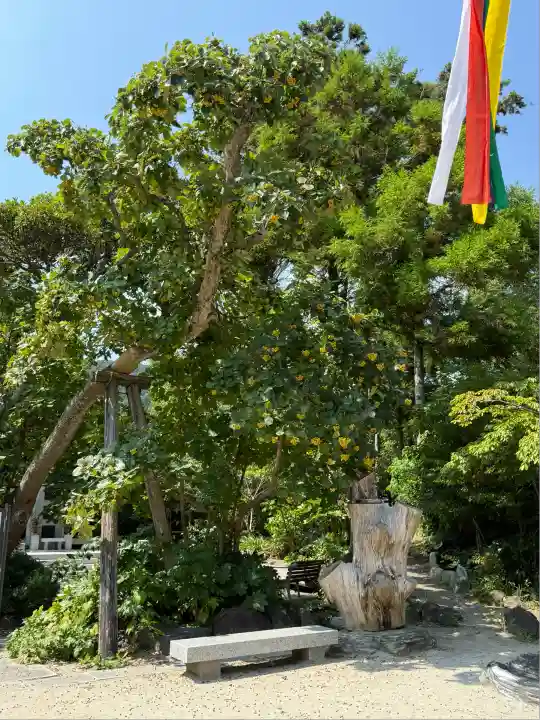 天津神明宮(千葉県)