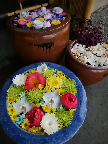 多賀神社の手水舎