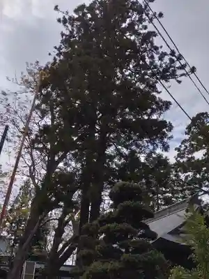 蠶養國神社(福島県)