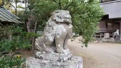橘樹神社の狛犬