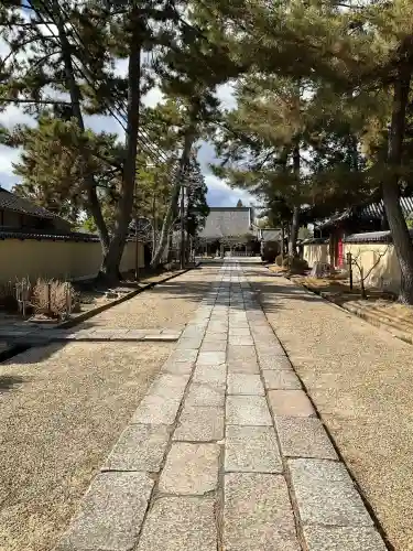西大寺の{uncategorized: "未分類", other: "その他", undefined: "問題あり", building: "その他建物", grave: "お墓", sacred_gate: "鳥居", guardian: "狛犬", statue: "像", buddha: "仏像", history: "歴史", nature: "自然", garden: "庭園", animal: "動物", pagoda: "塔", temizu: "手水舎", mountain_gate: "山門・神門", sanctuary: "本殿・本堂", subordinate: "末社・摂社", art: "芸術", scenery: "景色", jizo: "地蔵", ema: "絵馬", goshuin: "御朱印", omikuji: "おみくじ", items: "授与品その他", amulet: "お守り", goshuincho: "御朱印帳", eats: "食事", festival: "お祭り", votive_dance: "神楽", shichigosan: "七五三参", wedding: "結婚式", experience: "体験その他", initially: "初詣", around: "周辺", anti_infection: "感染症対策"}