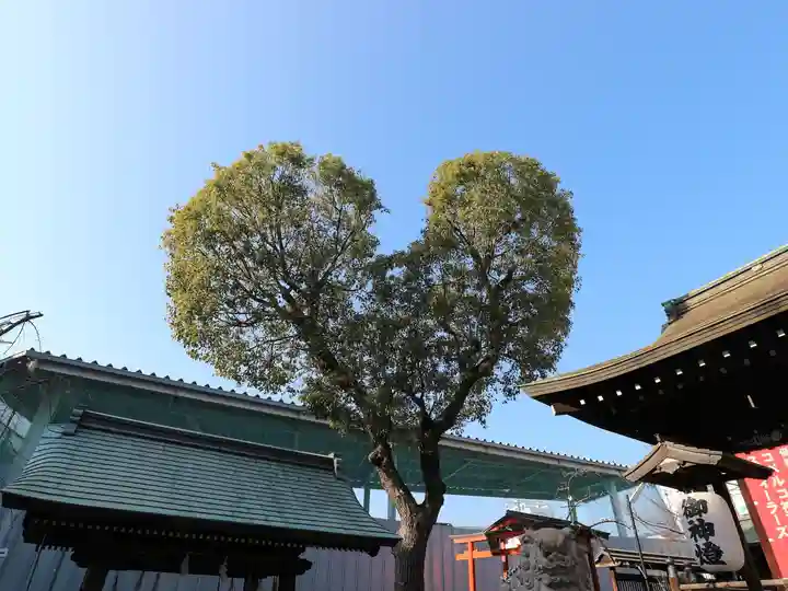 南宮宇佐八幡神社(脇浜神社)の自然