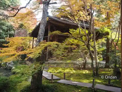 蓮華寺（洛北蓮華寺）のその他建物