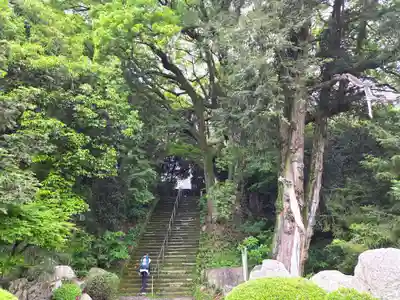 大興寺(香川県)