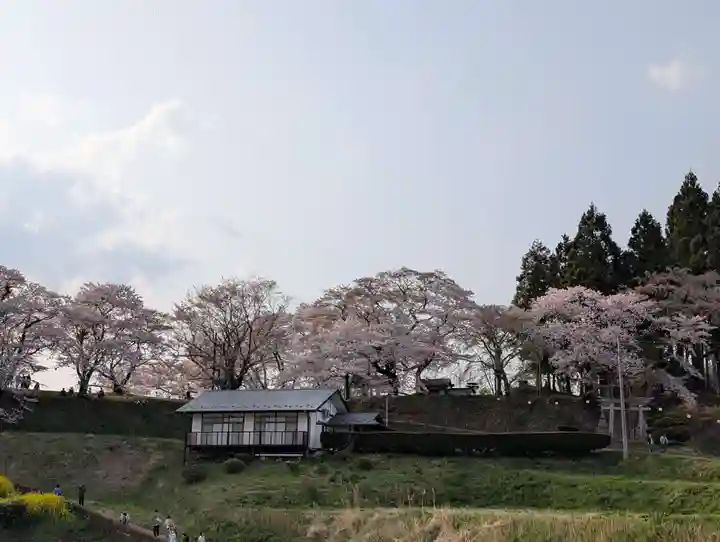 瀧桜神明宮(福島県)