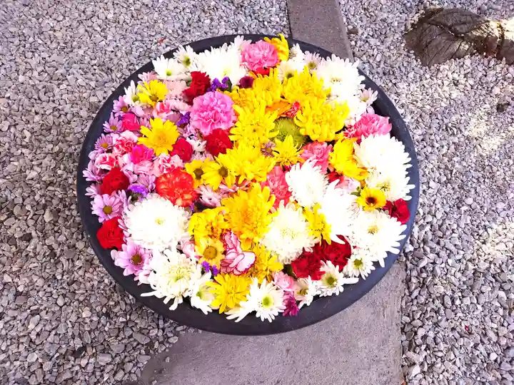 埼玉厄除け開運大師・龍泉寺(切り絵御朱印発祥の寺)(埼玉県)