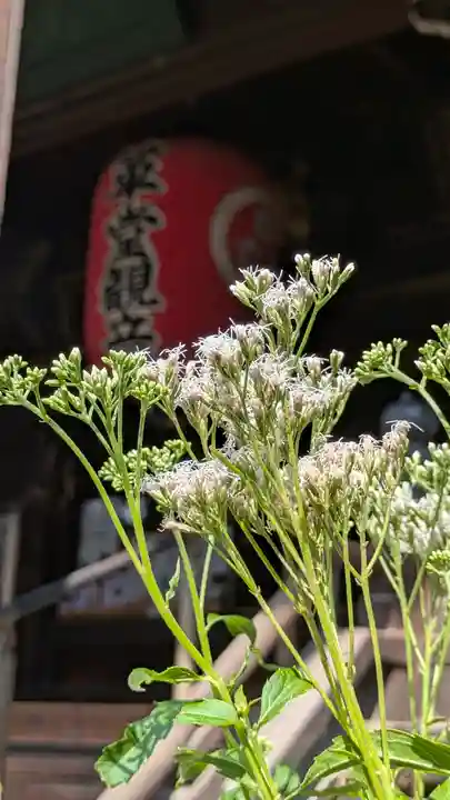 行願寺(革堂)(京都府)