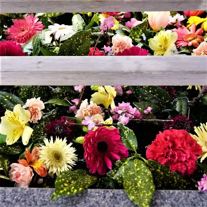 豊景神社の手水舎