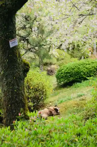 平安神宮(京都府)