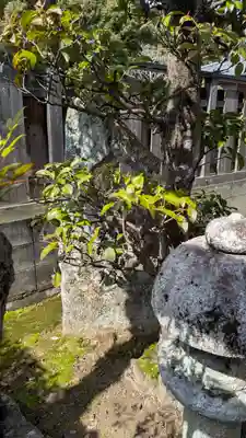 双和郷稲荷大明神(京都府)