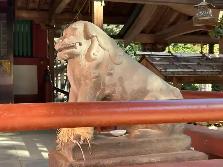 越ヶ谷久伊豆神社(埼玉県)