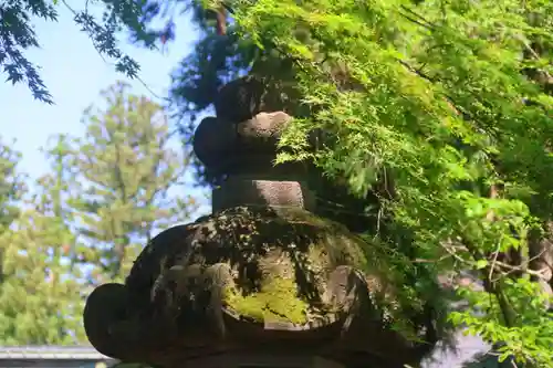 神炊館神社 ⁂奥州須賀川総鎮守⁂の景色